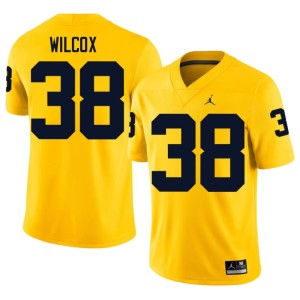 University of Michigan Wolverines High School College Football #38 Maize Men's Bryce Wilcox Jerseys 110532-538