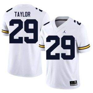 Wolverines Stitched College Football Men's Chase Taylor White #29 Jersey 115150-735