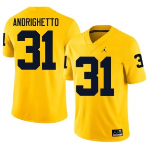 MICH #31 Nico Andrighetto Men 2026 College Football Maize Jersey 421370-661