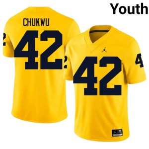 University of Michigan Wolverines College Football Jeffrey Chukwu Youth High School #42 Maize Jerseys 319288-641