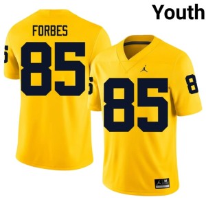 Michigan Logan Forbes Maize Alumni Youth #85 College Football Jersey 116739-491