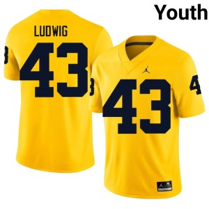 U of M #43 Zach Ludwig Maize Youth College Football Player Jerseys 881338-376