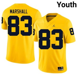 UMich Maize College Football 2026-27 #83 Youth Zack Marshall Jerseys 775358-890