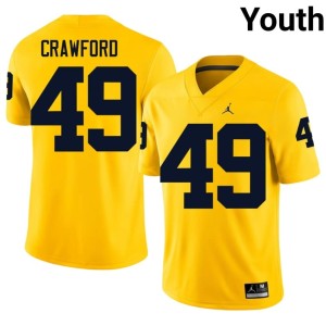 Michigan Nico Crawford College Football NCAA Maize Youth #49 Jersey 956763-978